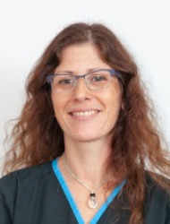 טל ברקנר טל ברקנר