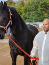 מר דניאל גורנשטיין מר דניאל גורנשטיין