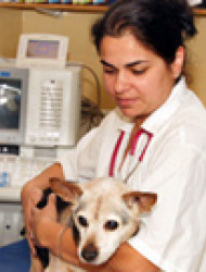 עינת יס עינת יס