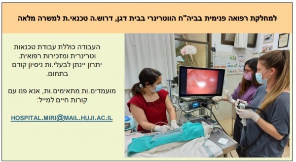 דרושים מחלקת רפואה פנימית