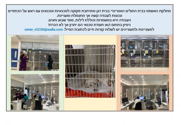 דרושים מחלקת אשפוז