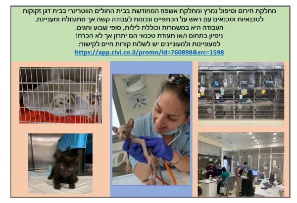 דרושים חירום ואשפוז