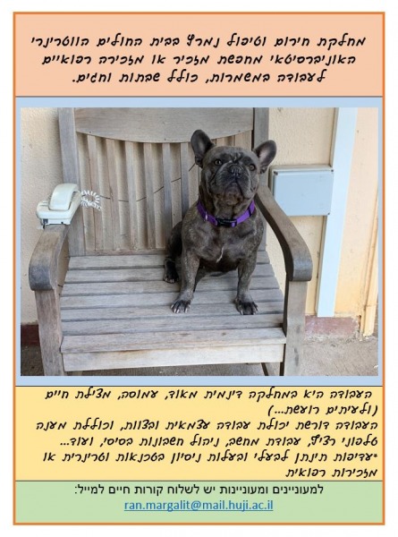 מזכיר רפואי למחלקת חירום