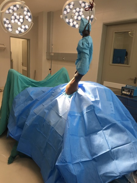 לקראת ארתרוסקופיה - מחלקת חיות גדולות