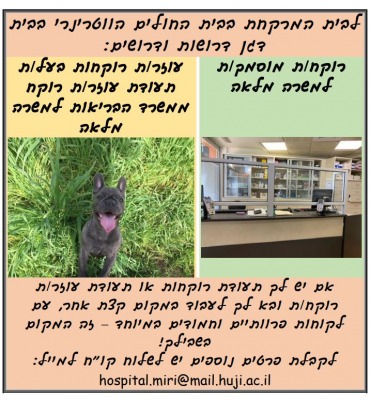 דרושים לבית המרקחת