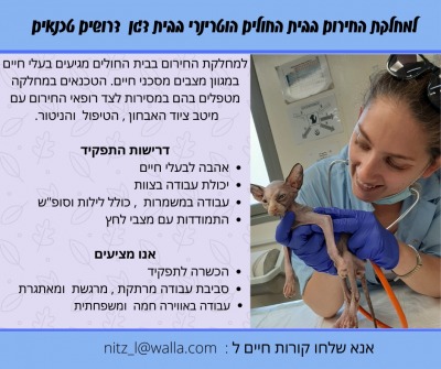 דרושים מחלקת חירום