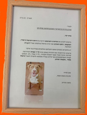 מכתב תודה חירום