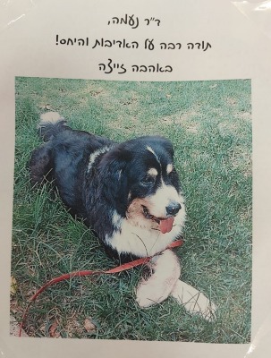 מכתב תודה לנעמה אופנהיימר