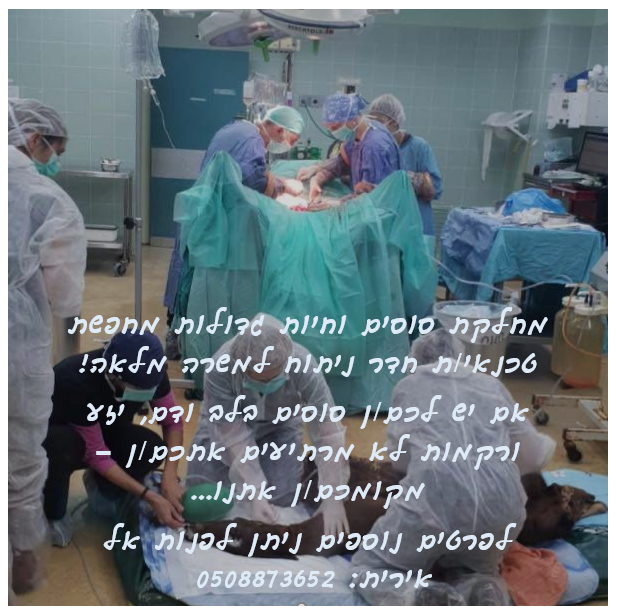 טכנאי ח ניתוח סוסים