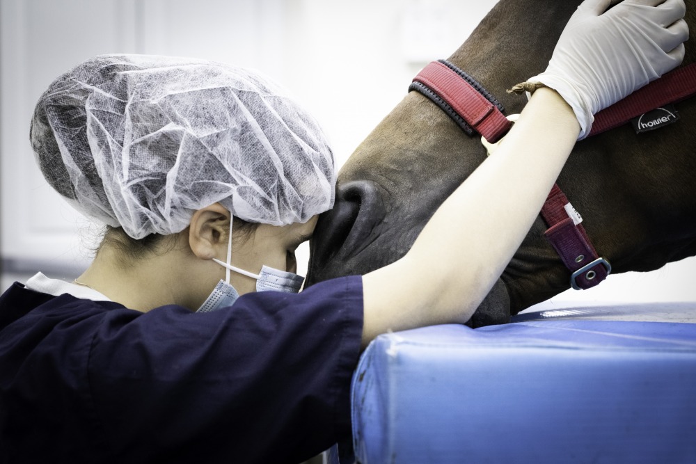 לימודים לאתר