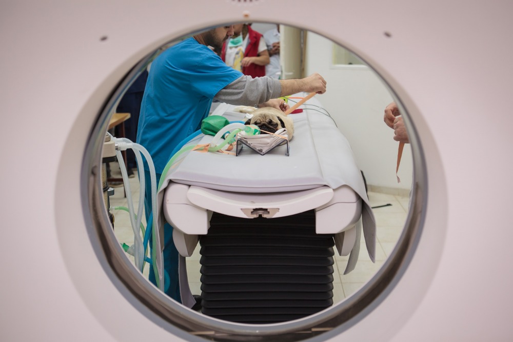 Oncology